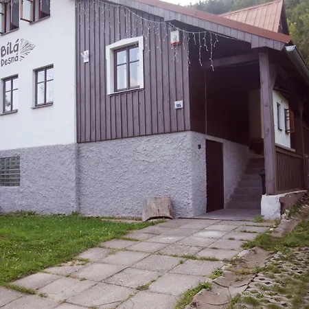 Bila Desna Apartment