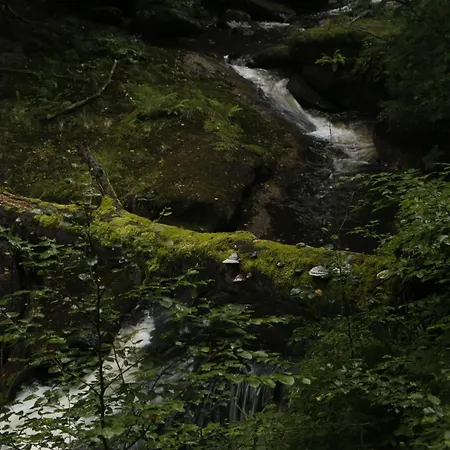 Bila Desna Διαμέρισμα Jablonec nad Nisou