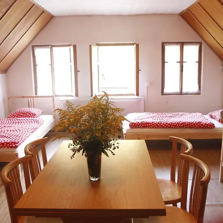 Bila Desna Apartment