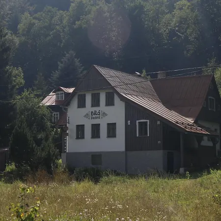 Apartment Bila Desna *
