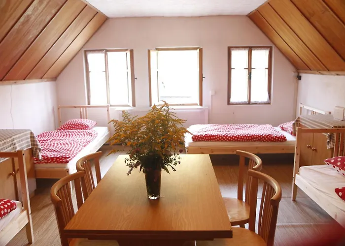 Bila Desna Apartment